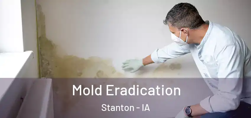  Mold Eradication Stanton - IA