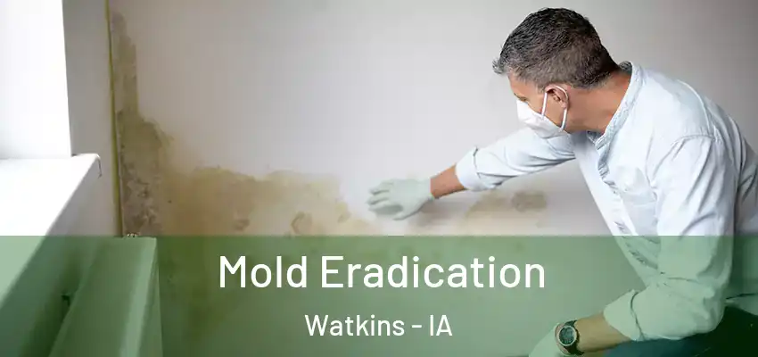  Mold Eradication Watkins - IA