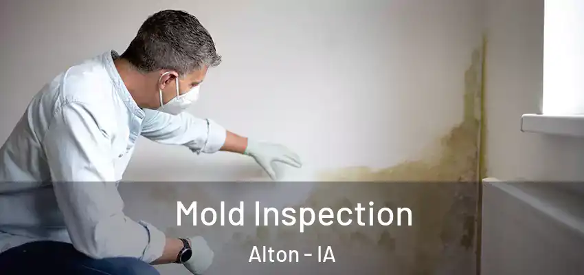 Mold Inspection Alton - IA