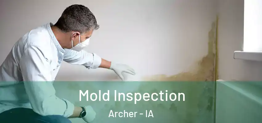 Mold Inspection Archer - IA