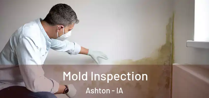Mold Inspection Ashton - IA
