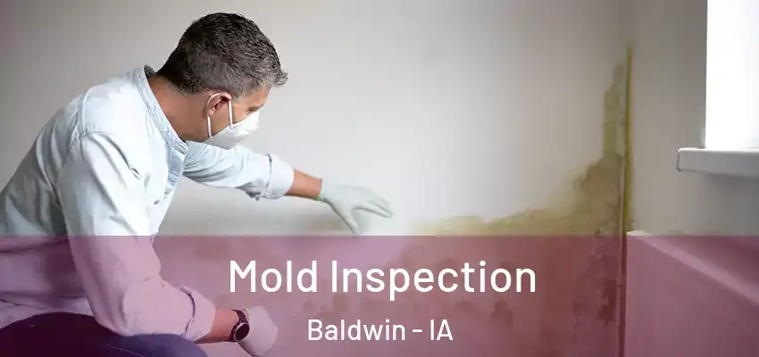 Mold Inspection Baldwin - IA