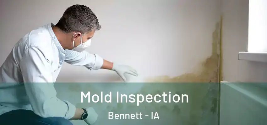 Mold Inspection Bennett - IA