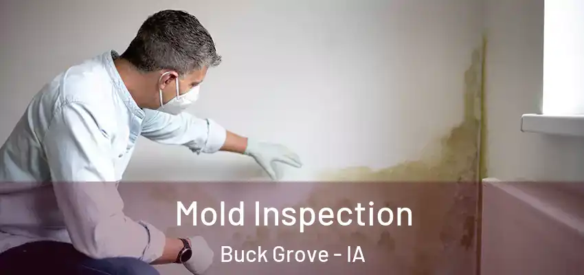  Mold Inspection Buck Grove - IA