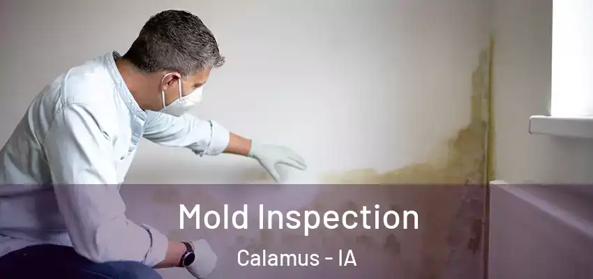Mold Inspection Calamus - IA