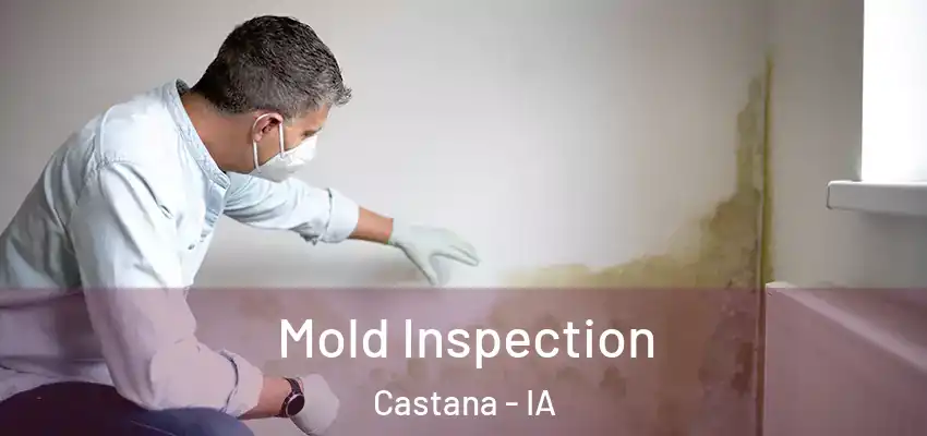 Mold Inspection Castana - IA