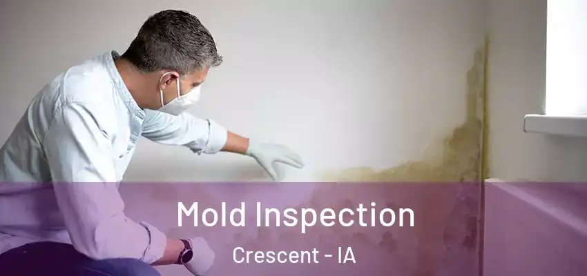 Mold Inspection Crescent - IA