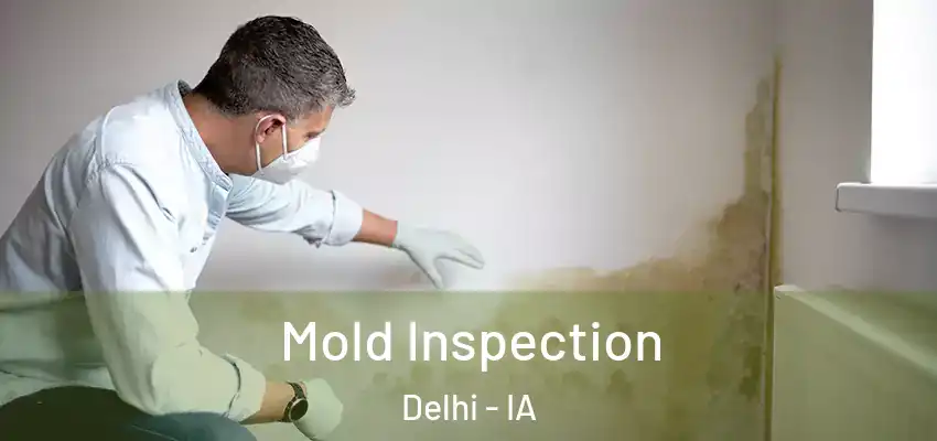 Mold Inspection Delhi - IA