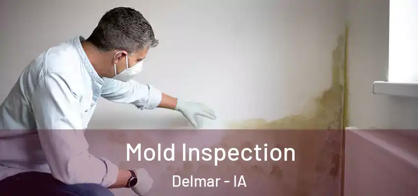  Mold Inspection Delmar - IA