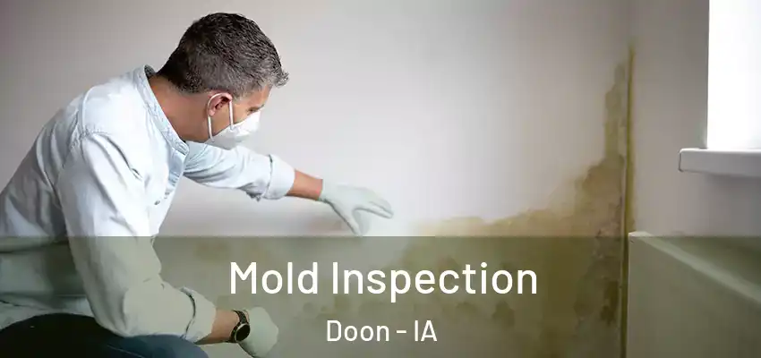 Mold Inspection Doon - IA