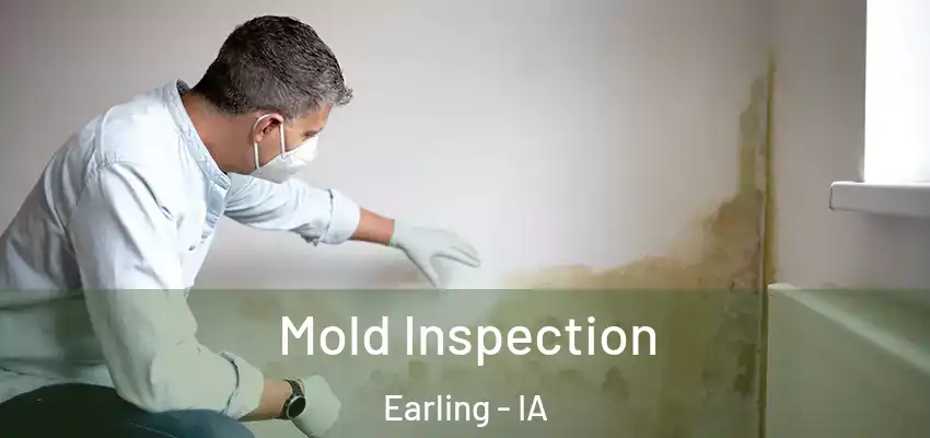 Mold Inspection Earling - IA