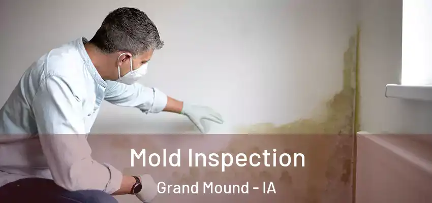 Mold Inspection Grand Mound - IA