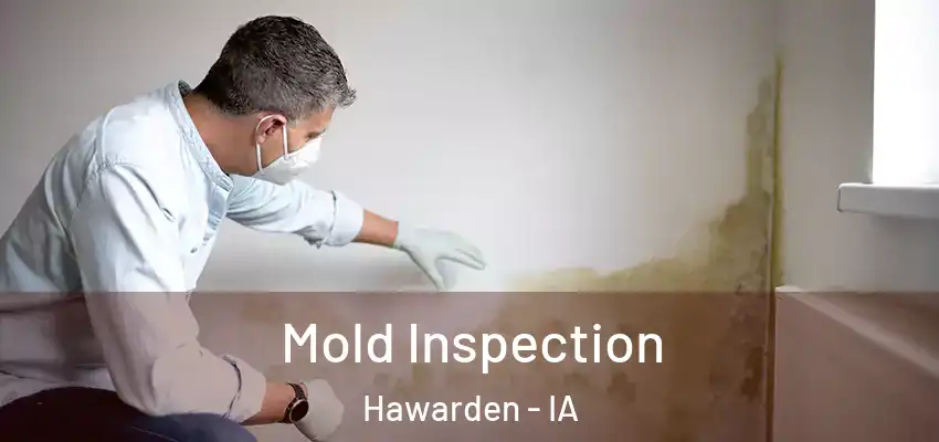 Mold Inspection Hawarden - IA