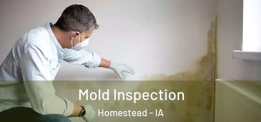 Mold Inspection Homestead - IA