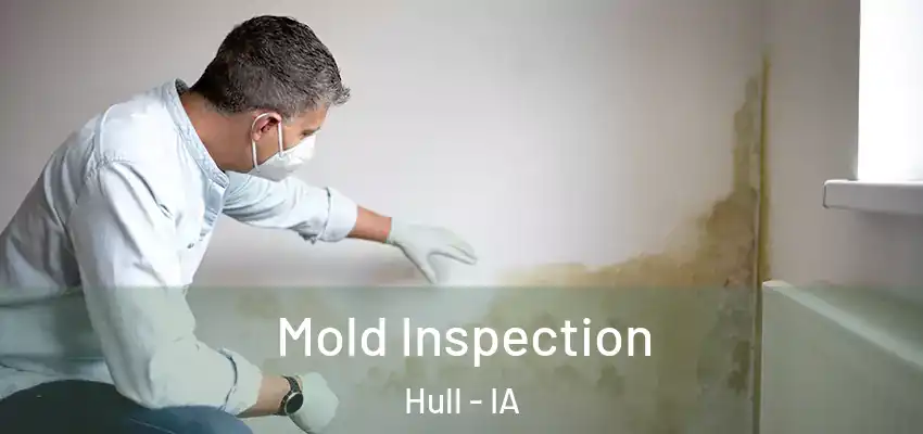  Mold Inspection Hull - IA