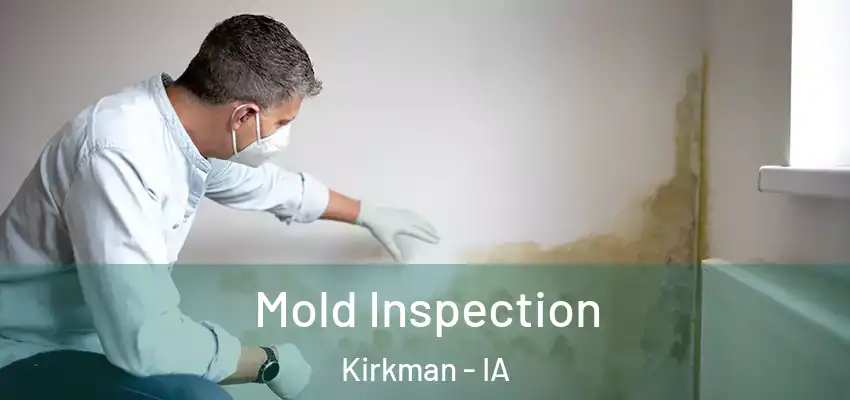  Mold Inspection Kirkman - IA