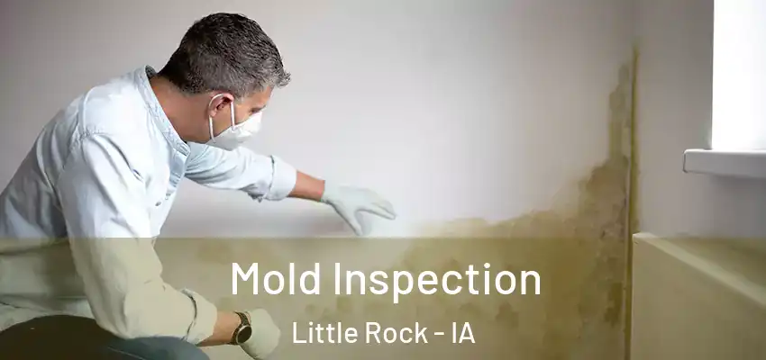 Mold Inspection Little Rock - IA