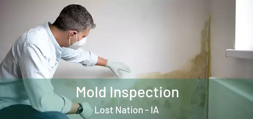 Mold Inspection Lost Nation - IA