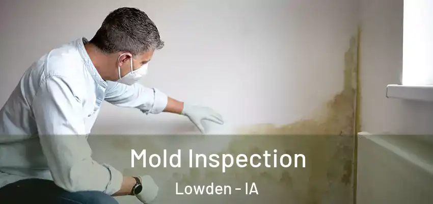 Mold Inspection Lowden - IA