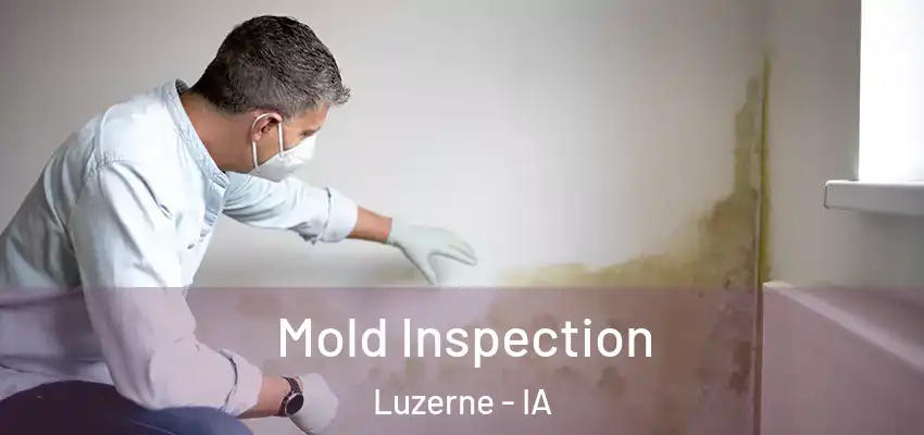 Mold Inspection Luzerne - IA