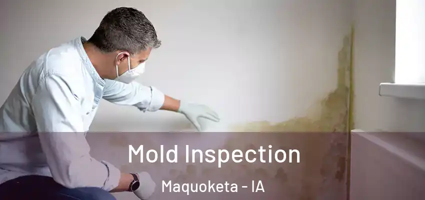  Mold Inspection Maquoketa - IA
