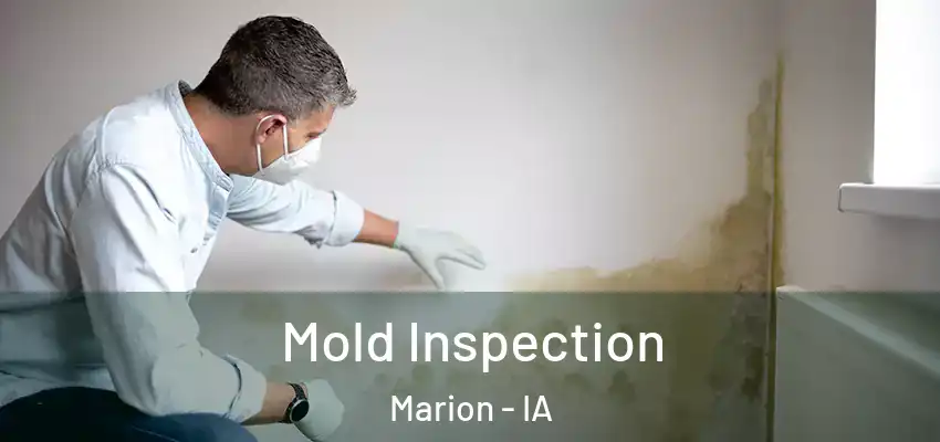  Mold Inspection Marion - IA