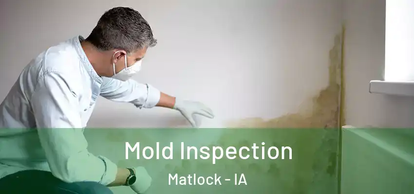  Mold Inspection Matlock - IA