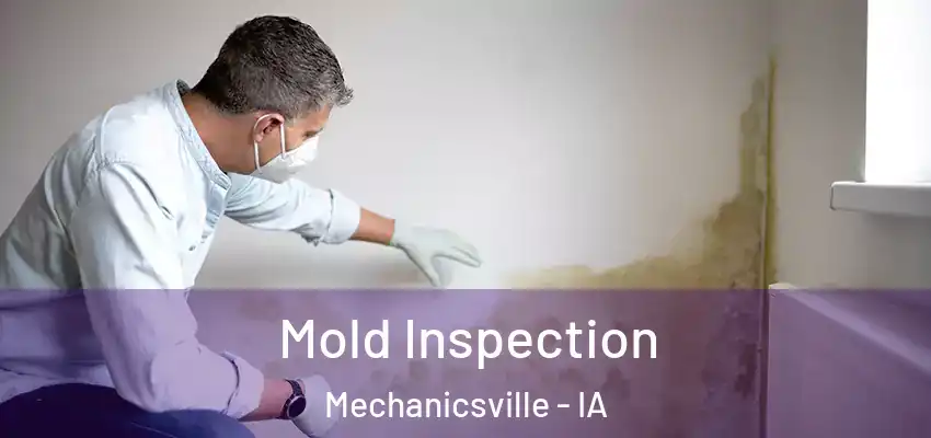 Mold Inspection Mechanicsville - IA