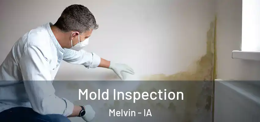  Mold Inspection Melvin - IA