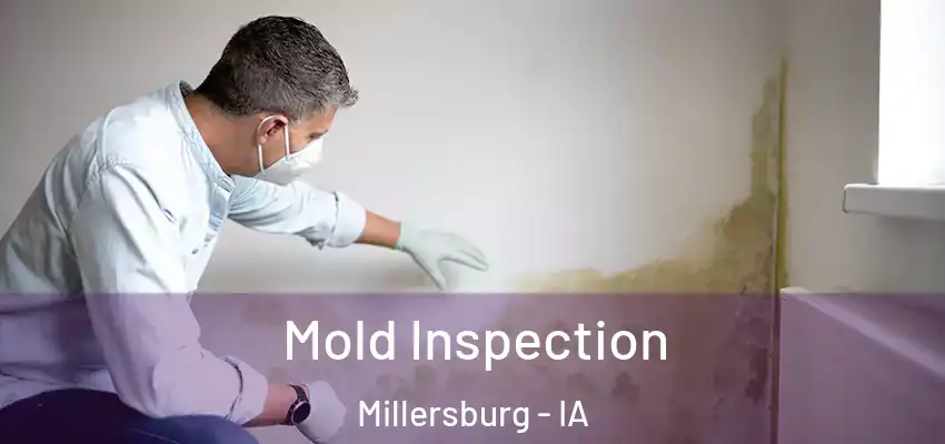 Mold Inspection Millersburg - IA
