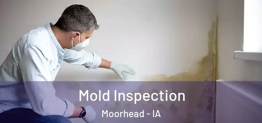  Mold Inspection Moorhead - IA