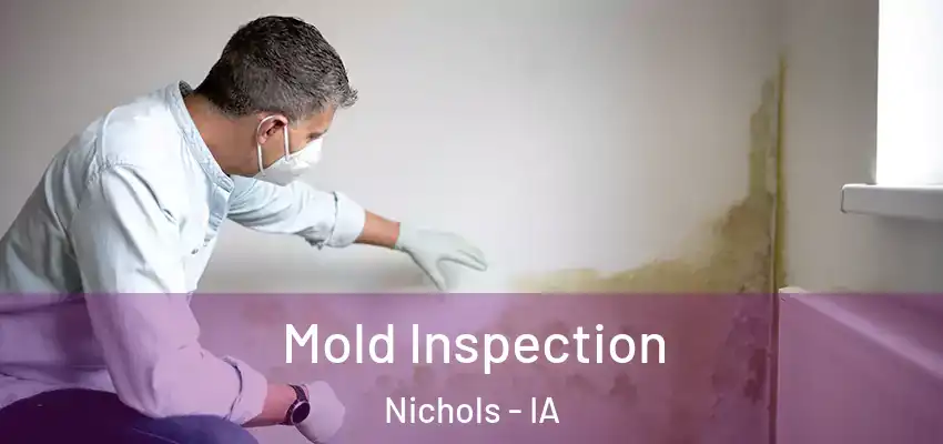 Mold Inspection Nichols - IA