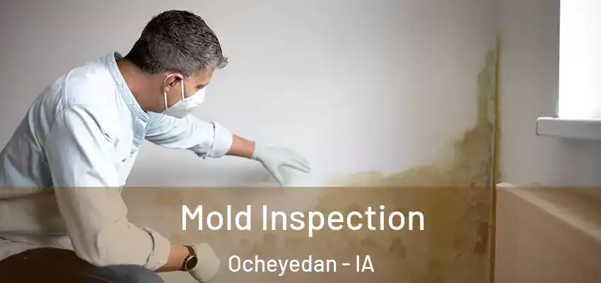  Mold Inspection Ocheyedan - IA