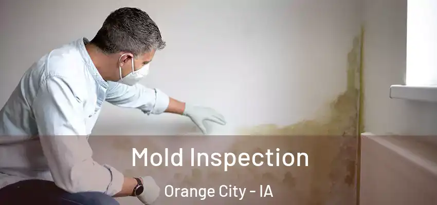  Mold Inspection Orange City - IA