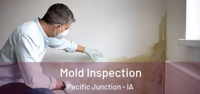  Mold Inspection Pacific Junction - IA