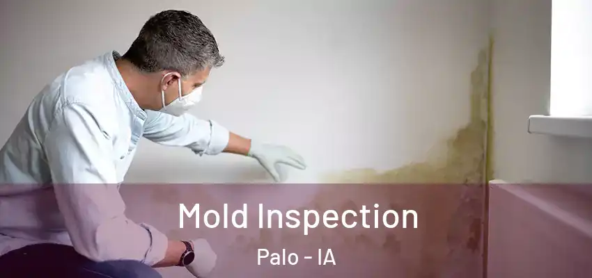  Mold Inspection Palo - IA