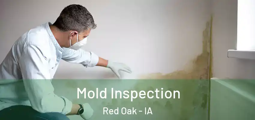  Mold Inspection Red Oak - IA
