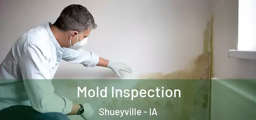 Mold Inspection Shueyville - IA
