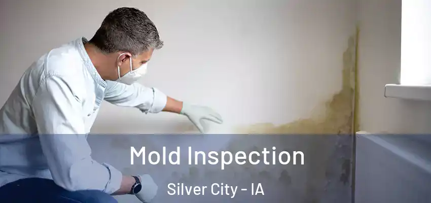 Mold Inspection Silver City - IA