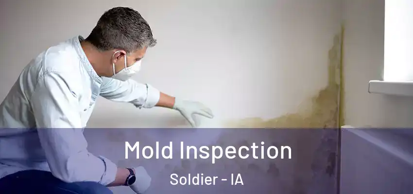  Mold Inspection Soldier - IA