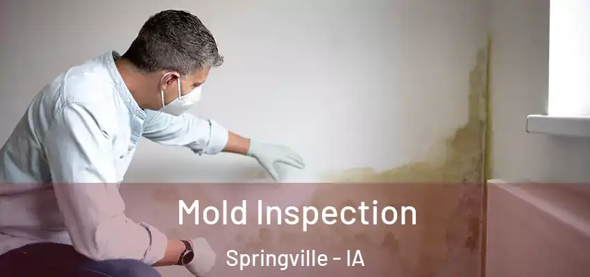  Mold Inspection Springville - IA