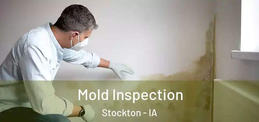  Mold Inspection Stockton - IA