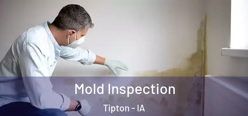  Mold Inspection Tipton - IA
