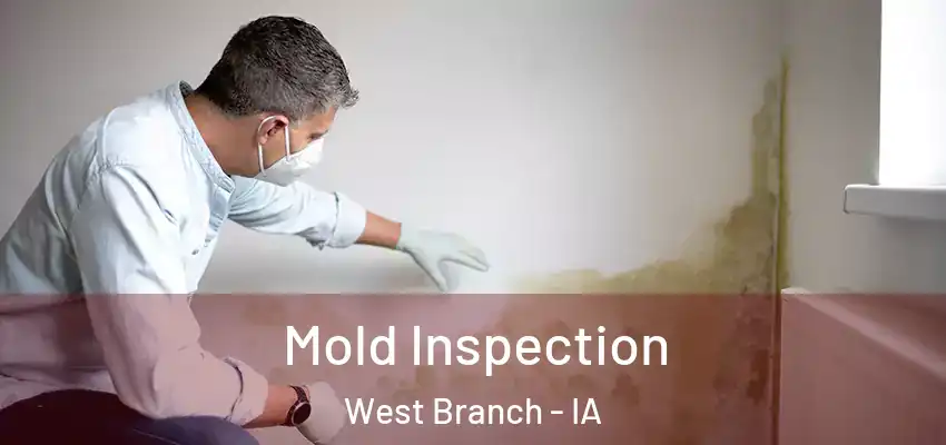  Mold Inspection West Branch - IA