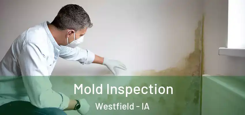  Mold Inspection Westfield - IA