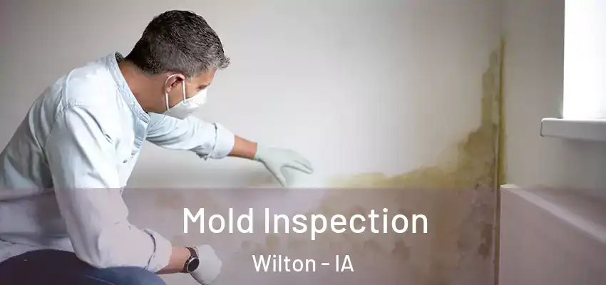 Mold Inspection Wilton - IA