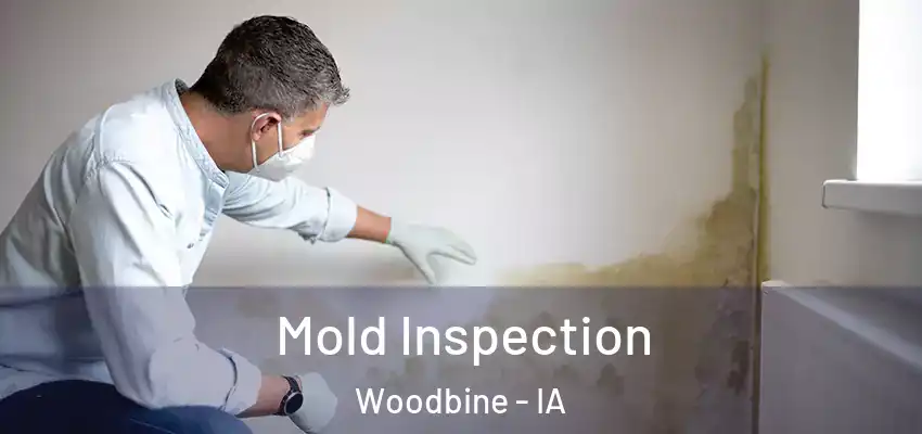  Mold Inspection Woodbine - IA