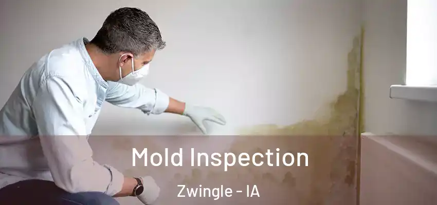 Mold Inspection Zwingle - IA