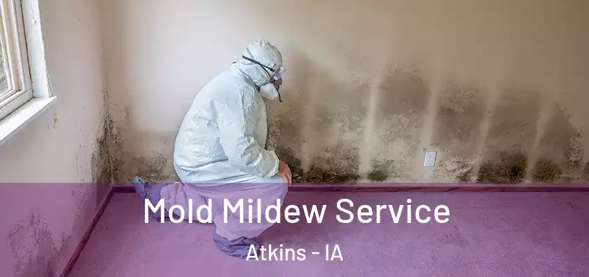 Mold Mildew Service Atkins - IA