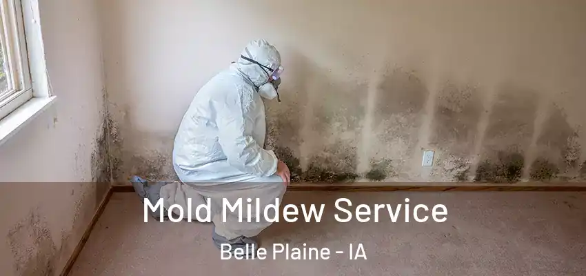 Mold Mildew Service Belle Plaine - IA